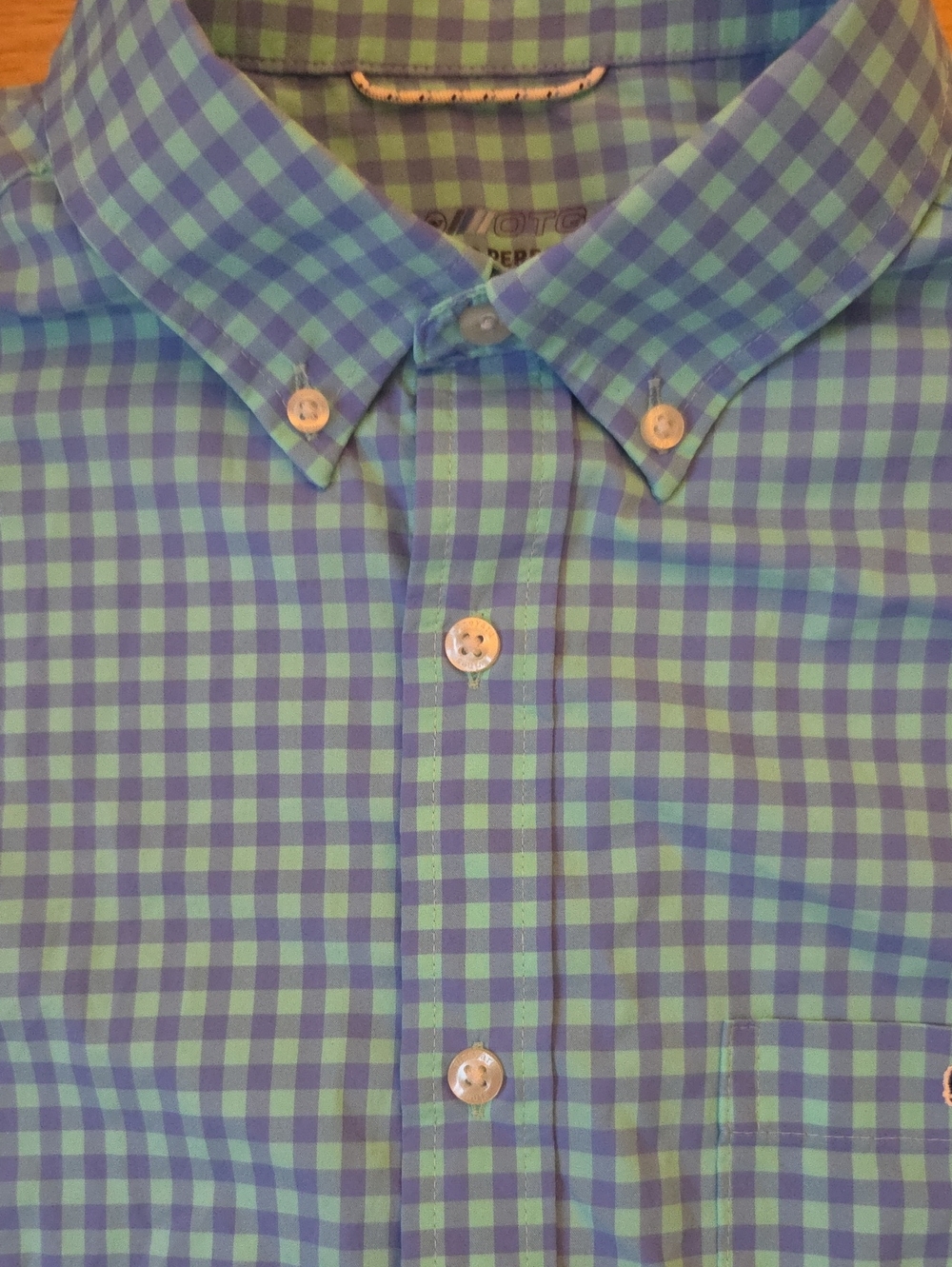 Vineyard Vines Blue and Green Gingham Button-Down Shirt
